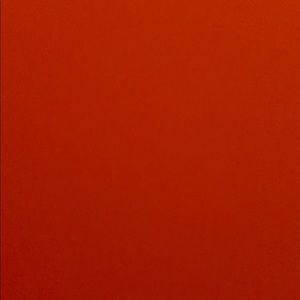 Meet your Posher, Bianca